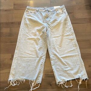 American Eagle Outfitters Light Wash Frayed Wide Leg Jeans